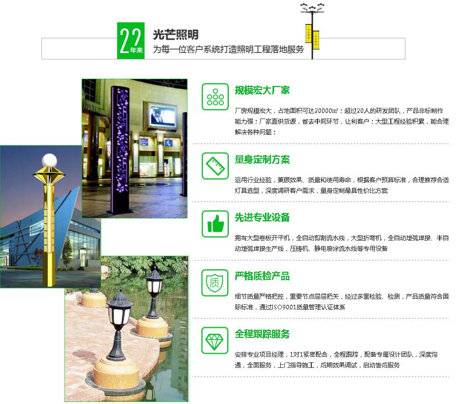 陜西雙臂道路燈定制 陜西雙臂道路燈定制